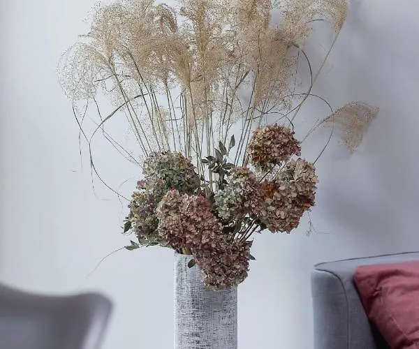 Business For Office Kolaczy By Renters